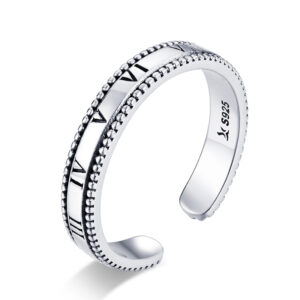 Design Metal Punk Exquisite 925 Sterling Silver Open Ring